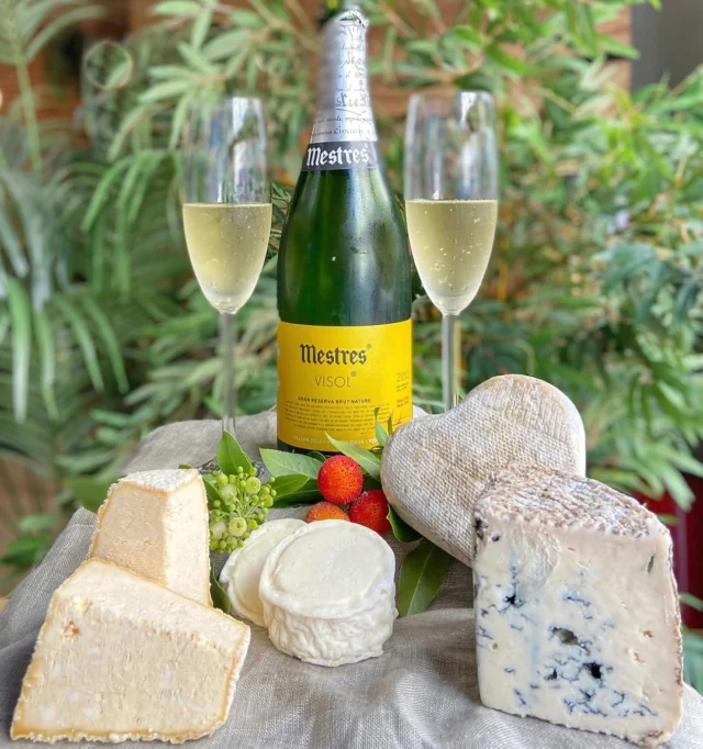 🥂 ¿Te imaginas brindando con cava y unos quesos deliciosos? Lo mejor de la gastronomía en un solo momento. ¡Eso es lo que te espera en QAVA!

🎉 Ven a celebrar la vida con nosotros. Porque no todo es trabajo, a veces también necesitamos un buen brindis, una charla entre amigos y sabores que nos dejen sin palabras. Lo bueno sabe mejor cuando lo compartimos. 🥰

✨ ¿Nos acompañas?
Con reserva y sin reservan ven a disfrutar de una experiencia única en QAVA.

Y si no puedes venir hoy, no pasa nada. Llevamos la esencia de QAVA a tu casa a través de nuestra #tiendaonline para que puedas sorprender a tu paladar en cualquier momento. 

Te esperamos con los brazos abiertos y una copa lista para ti.

#quesosgourmet #cheeseboards #GastronomíaConEncanto #CavaYQueso #ComidaQueEnamora #QAVA #ExperienciaGastronómica #quesosespañoles #quesosgourmet #cheeseboards #tastingtable #tastingcheese #tastings #quesosafinados #quesosadomicilio #regalosconquesos #cheesemanager #cheeseexpert #cheseseday